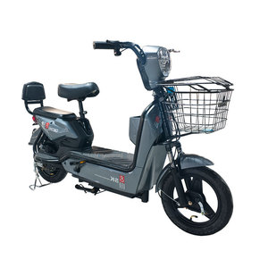 Bicicleta Eléctrica Golden Eagle para Adultos, Scooter Eléctrico para Viajes Diarios, Vehículo Eléctrico de Dos Plazas para Exportación Internacional - Product Image 4