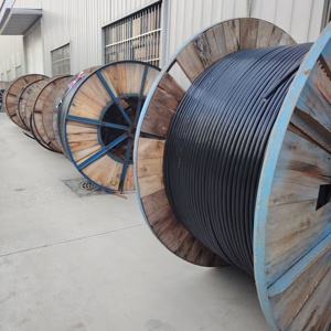 Câble Aérien en PVC à Âme en Aluminium YJLV Conforme aux Normes Nationales, Idéal pour les Achats en Gros <span class=keywords><strong>de</strong></span> 1 à 1000KV - Product Image 5