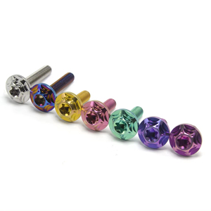 VBA Vis bois agglo Tête ronde TR 5X25 TORX T25 Acier zingué-200 pièces