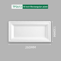 Assiette jetable rectangulaire compostable de 10 pouces en bagasse de canne à sucre, écologique, pour salades, snacks, sushis, bento, dîner et traiteur