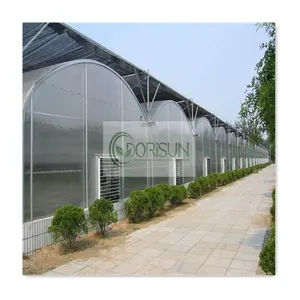 4Season Hydroponic System Tunnel Greenhouse Shade Net Multi-Span Invernadero Arch Plastic Film Poly House Agriculture Greenhouse