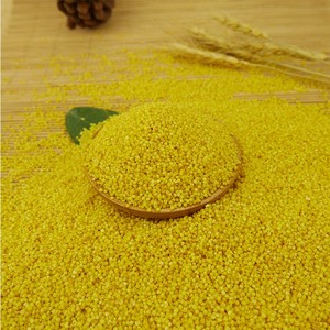 Xiaomi Millet Nihewan Miglio Giallo Decorticato Miglio a Grani - Product Image 6