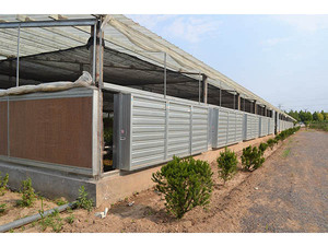 Gewächshaus Kühlpad/landwirtschaftliche Gewächshäuser Hühnerhaus-Ventilation Kühlsysteme - Product Image 5