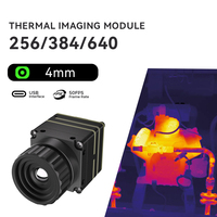 Caméra thermique WINBIG 256/384/640, objectif 4 mm, sortie vidéo USB, module d'imagerie thermique infrarouge industriel pour la surveillance
