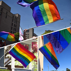 Arc-en-ciel Gay Pride Polyester jardin personnalisé Mini Lgbt main drapeau arc-en-ciel amour couverture de voiture drapeaux en gros arc-en-ciel fierté drapeau - Product Image 4