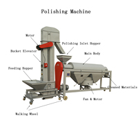 Machine à polir les grains multifonctionnelle 5T/H, petite taille, pour les haricots, les grains de café, le maïs moisie, les graines, machine à polir les graines