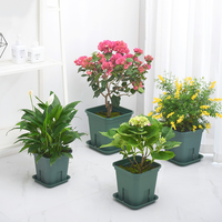 Pots de pépinière carrés en plastique vert de 16/19/21/24/27 cm pour le contrôle des racines, pour plantes de pépinière et fleurs