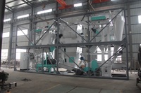 CE Fabricant 1t 2t 3t 5t 10t 15t par heure Son paille de blé ligne de fabrication de granulés de manioc pour animaux poulet vache nourriture