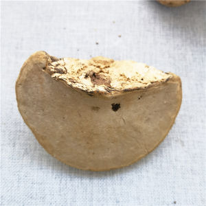 Hongo Natural Seco al por Mayor, Pyropolyporus Fomentarius, Fomes Fomentarius - Product Image 4