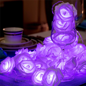 Ip65 LED ánh sáng cho Wedding <span class=keywords><strong>party</strong></span> & giáng sinh tổ chức sự kiện trang trí kỳ nghỉ chiếu sáng chuỗi sản phẩm - Product Image 5