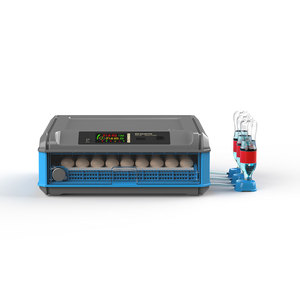 Incubateur de poulet personnalisé 100 œufs incubateur de poulet solaire avec le meilleur <span class=keywords><strong>prix</strong></span> approvisionnement d'usine direct - Product Image 4