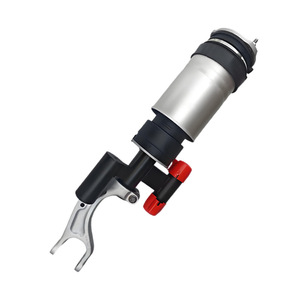 Front Air Shock Absorber 1620361-00-<b>D</b> 1620366-00-<b>D</b> For <b>Model</b> X <b>Model</b> S With Mount Included - Product Image 1