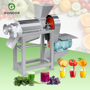 Extractor Industrial de Jugo de Jengibre, Naranja, Uva, Durazno y Maracuyá - Product Image 1