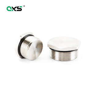 Cache-vis hexagonale en acier inoxydable 304, bouchons aveugles, anti-explosion, nickelés, presse-étoupe ISO9001 IP68 M20 - Product Image 3