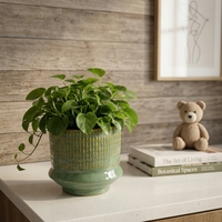 Pot de fleurs en céramique pour plantes d'intérieur, pot de fleurs de jardin avec trou de drainage, pots de fleurs en céramique texturée, vente en gros, lot de 2