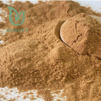 Poudre d'extrait de champignon crinière Lions 30% bêta-glucanes bio de qualité supérieure 1kg liquide de qualité alimentaire pour la santé du cerveau et le soutien immunitaire