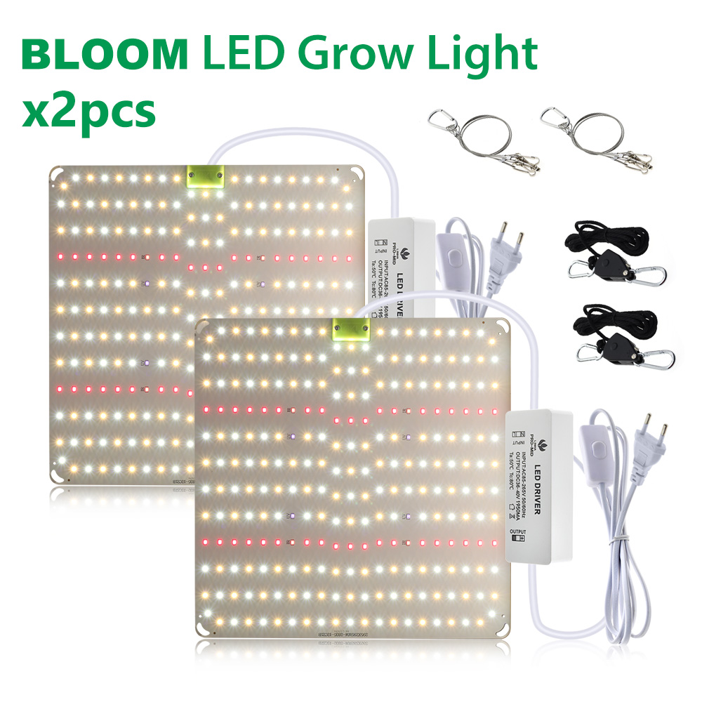 Bloom 2 piezas/juego PL-QB580SL-EU-2