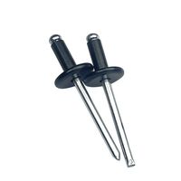 Rivets à tête dôme ouverte en aluminium peint noir avec mandrin en acier 4,0 mm 4,8 mm pour l'assemblage automobile et de meubles