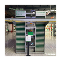 Équipement automatisé pour élevages avicoles : Système de cages à poules pondeuses de type H avec système d'alimentation automatique