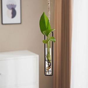 Vase créatif en fer et verre à bas prix avec corde de chanvre, suspension murale pour salon, conteneur pour plantes hydroponiques, décoration murale suspendue - Product Image 4