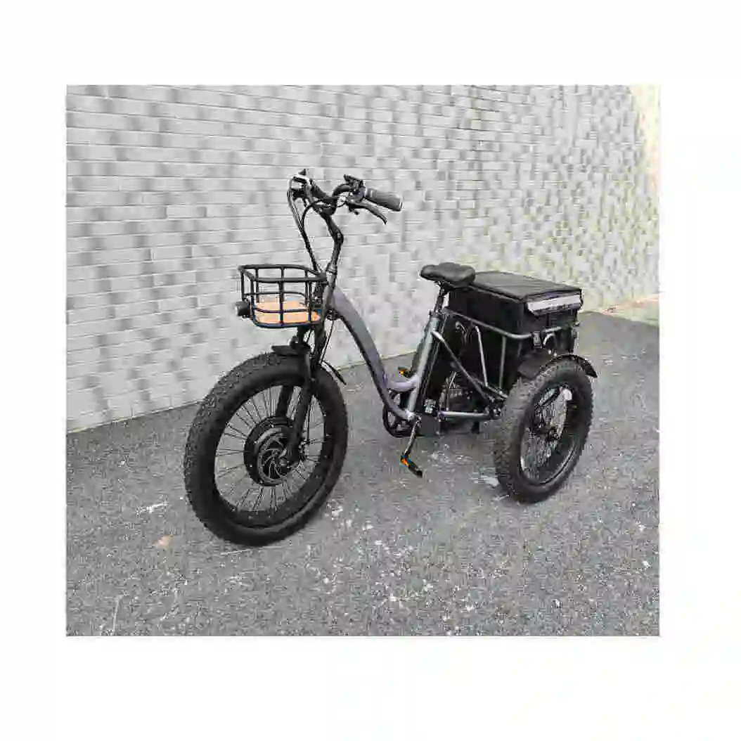 Werkseitiges Dreirad Elektro fahrrad 1000w Dreirad Taxi Moto Elektro roller 3 Rad Dreirad für die tägliche Arbeit