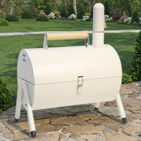 Barbecue à gaz en acier pour intérieur/extérieur avec friteuse intégrée, sécurité flamme, chauffage sans fumée - Usage domestique