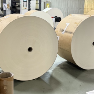 กระดาษเคลือบ PE PLA เกรดอาหาร 150‑320GSM ม้วนจัมโบ้ กันน้ำ สำหรับสายการผลิตพัดกระดาษ - Product Image 1