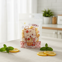 Sachets givrés translucides refermables pour biscuits élégants – Alternative élégante aux emballages cadeaux pour biscuits