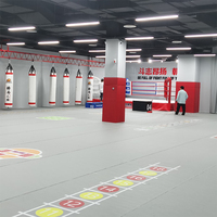 Hochwertige, individuell gestaltbare Logo-Rollmatten für Kampfsporttraining, XPE BJJ Wrestling Tatami-Matten