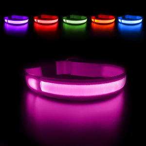 Tize Venta caliente USB carga LED colorido Nylon perro Collar accesorios para mascotas - Product Image 1