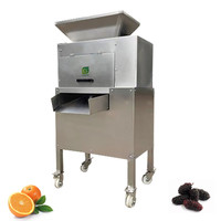 Cashew Citroen Industriële Juicer Passievrucht Maken Aloë Vera Proces Rode Biet Machine Kruidensap Extractor