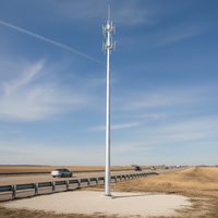 Tour d'antenne tubulaire cellulaire en acier galvanisé à chaud, certifiée ISO/CE, hauteur personnalisable pour usage industriel