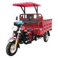 Tricycle motorisé à benne ouverte de 200 cm³ à essence, 5 vitesses, capacité de charge de 400 kg, avec toit, pour transport agricole – Approvisionnement direct usine