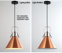 Lampe chauffante pour aliments Chauffe-aliments commercial Chauffage électrique unique Restauration Réchauffement pour traiteur Buffet et restaurant