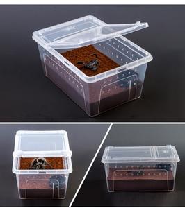 Basit orta çeşitli boyutları kuluçka sürüngen üreme kutusu plastik şeffaf istiflenebilir havalandırmalı sürüngen taşıma kutusu - Product Image 5