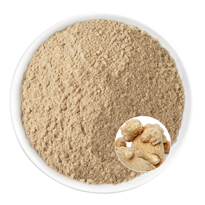 Extrait de Panax sans OGM 20% Notoginsenosides CAS 80418-25-3 | Aliments fonctionnels à étiquette propre - Product Image 3