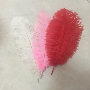 Plumes d'autruche artificielles blanches et colorées - Product Image 2