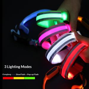 LDE Luxury Luminous Rechargeable <strong>Dog</strong> <strong>Collar</strong> with Built-in <strong>Reflectors</strong> <strong>for</strong> Night Outdoor Walking Custom Logo Available All Seasons - Product Image 2