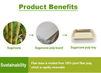 Barquette d'emballage jetable biodégradable et compostable en pulpe de bagasse avec revêtement intérieur de qualité congélation