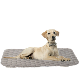 Laminated Whelp Dog Pee Pad Pet Supplies Waterproof Puppy Training Pad Washable Reusable Mat For Playpen Crate Floor Bed Sofa