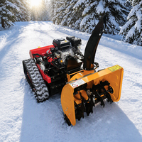 Tondeuse à gazon et souffleuse à neige professionnelles télécommandées, autopropulsées, à essence, avec manche télescopique