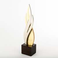 Noble personnalisé coupe acier ornements flamme feu torche avec base en bois réalisation trophée prix Logo personnalisé cadeau d'affaires artisanat à la main