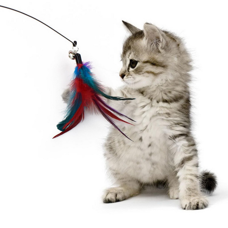 Лучшая заводская цена, приманка для кошек, эко-игрушка для кошек, новинка 2021, палочка для кошек