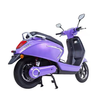Vente en gros transfrontalière de vélos électriques, motos électriques pour adultes avec sièges allongés, options personnalisables