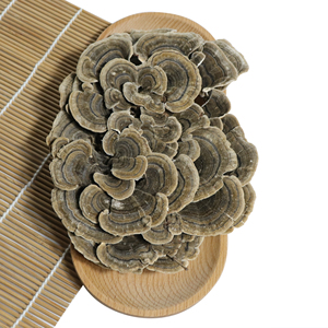 Натуральный органический экстракт хвоста индейки - Product Image 3