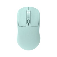 Souris optique sans fil pour ordinateur portable à double mode Souris sans fil portable silencieuse 2.4G Souris sans fil 10M Souris ergonomique muette Tablette
