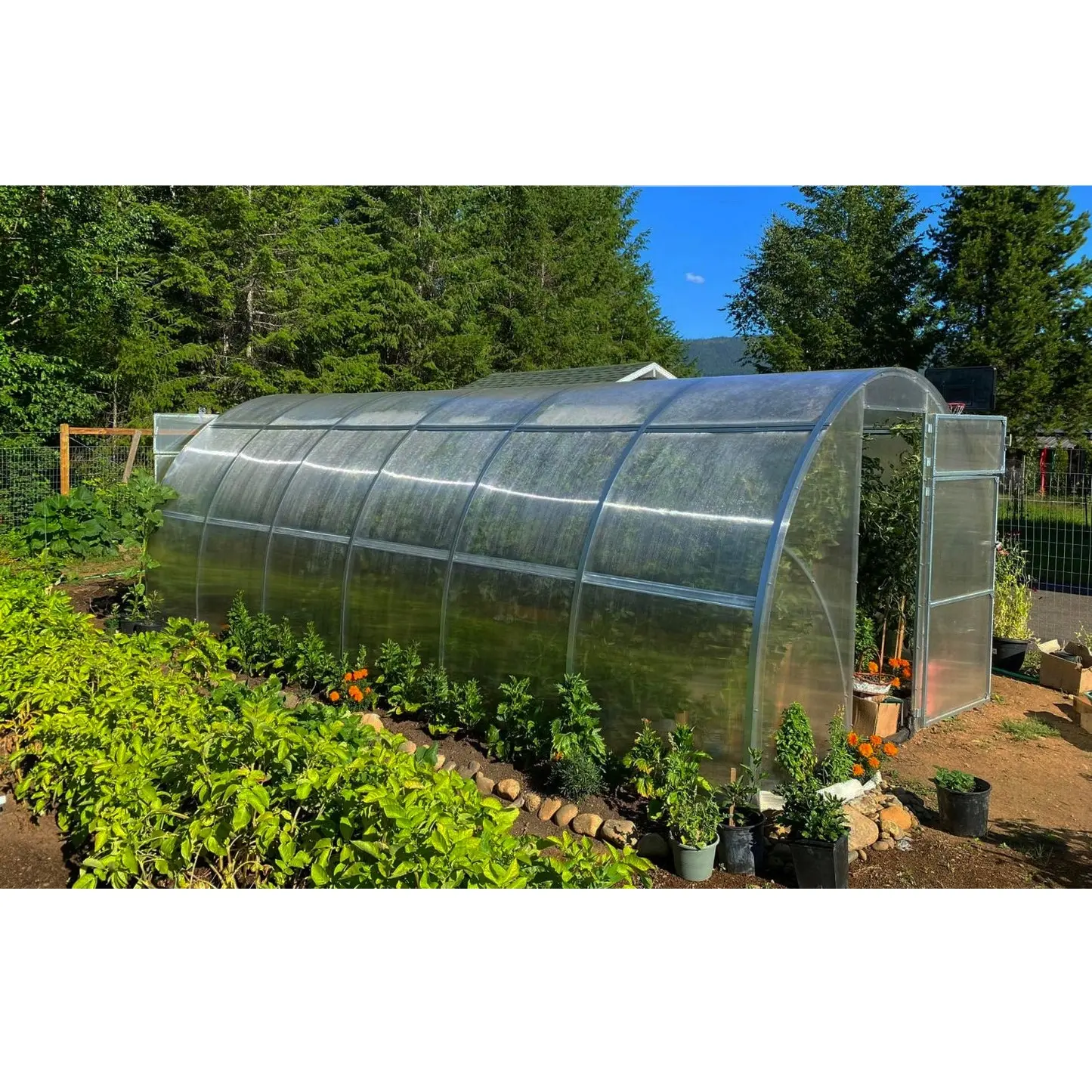 walk in Garden greenhouse small greenhouses for sale tunnel house greenhouse 2m x 5m