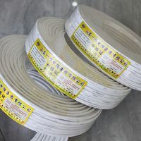 Câbles électriques flexibles RVV en PVC, conducteurs en cuivre étamé, usage industriel, multiconducteurs, tension nominale 300V/500V