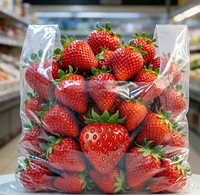 Sacs en plastique LDPE personnalisés pour le shopping, type t-shirt, avec impression sur mesure