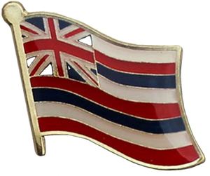 Hawaii Flag <b>Badge</b> Zinc Alloy <b>Pin</b> for Clothes Decoration Glue Dropping Process Metal Crafts - Product Image 1